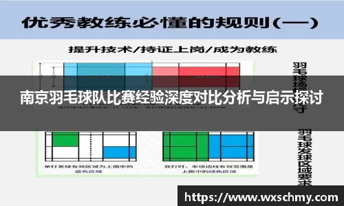 南京羽毛球队比赛经验深度对比分析与启示探讨