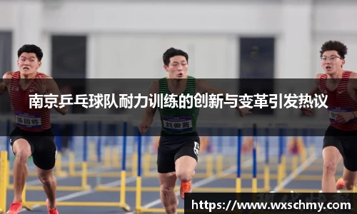 南京乒乓球队耐力训练的创新与变革引发热议