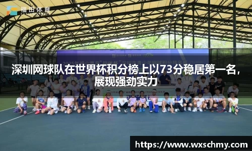 深圳网球队在世界杯积分榜上以73分稳居第一名，展现强劲实力